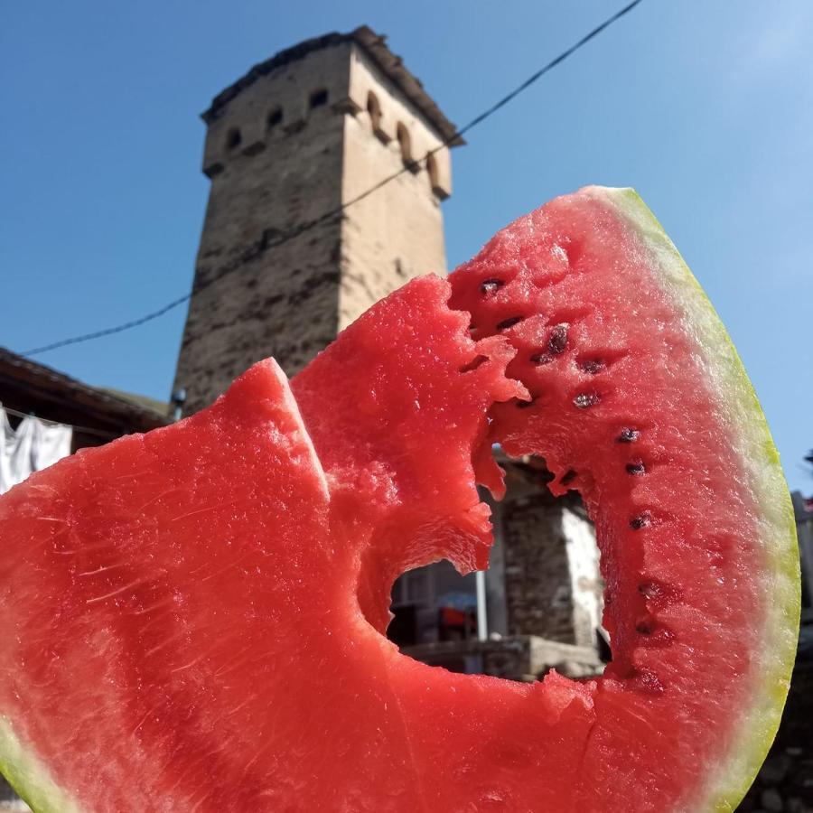 Old Tower Guesthouse - Kafe Ushguli Exterior photo